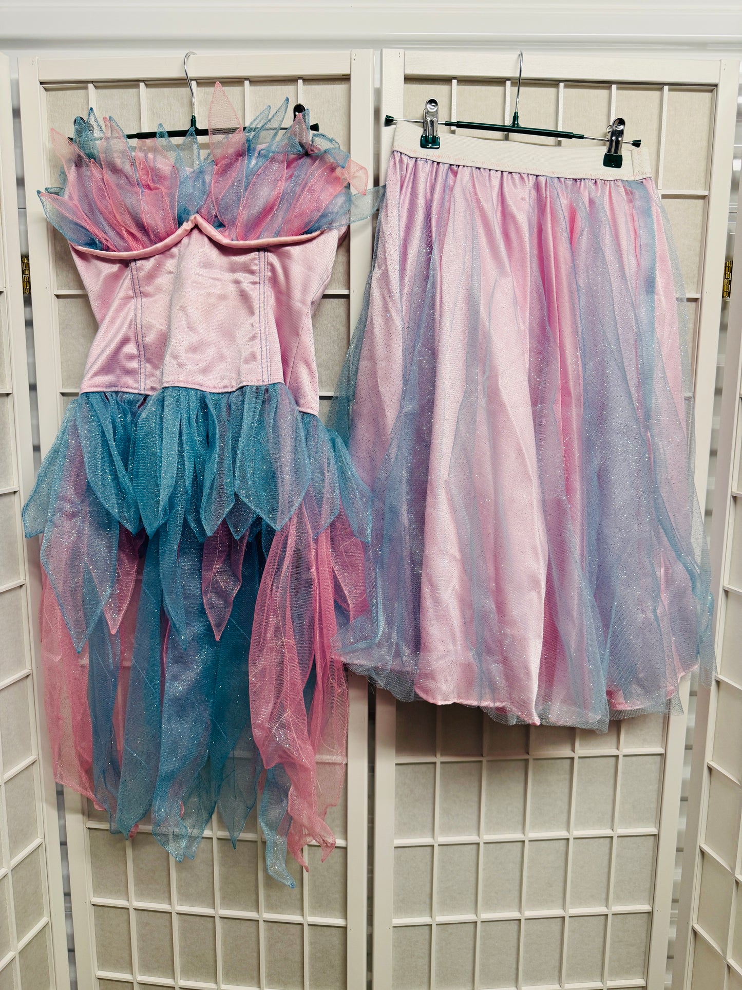 Barbie Swan Lake Dress (2 Piece)