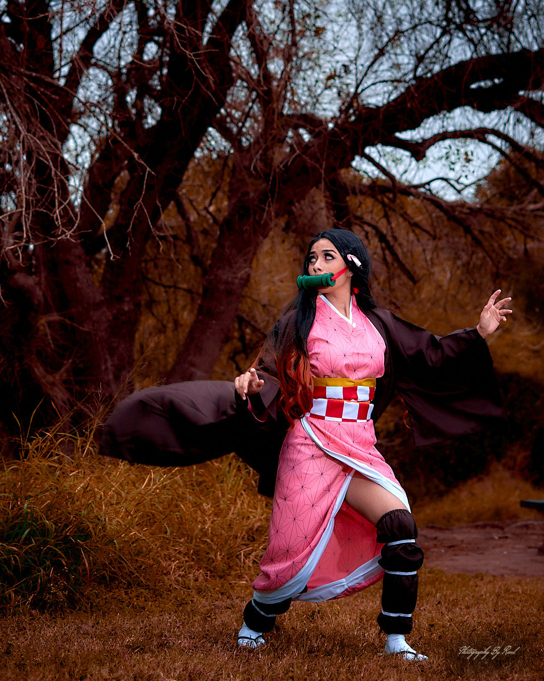 Nezuko (8x10 in Print)