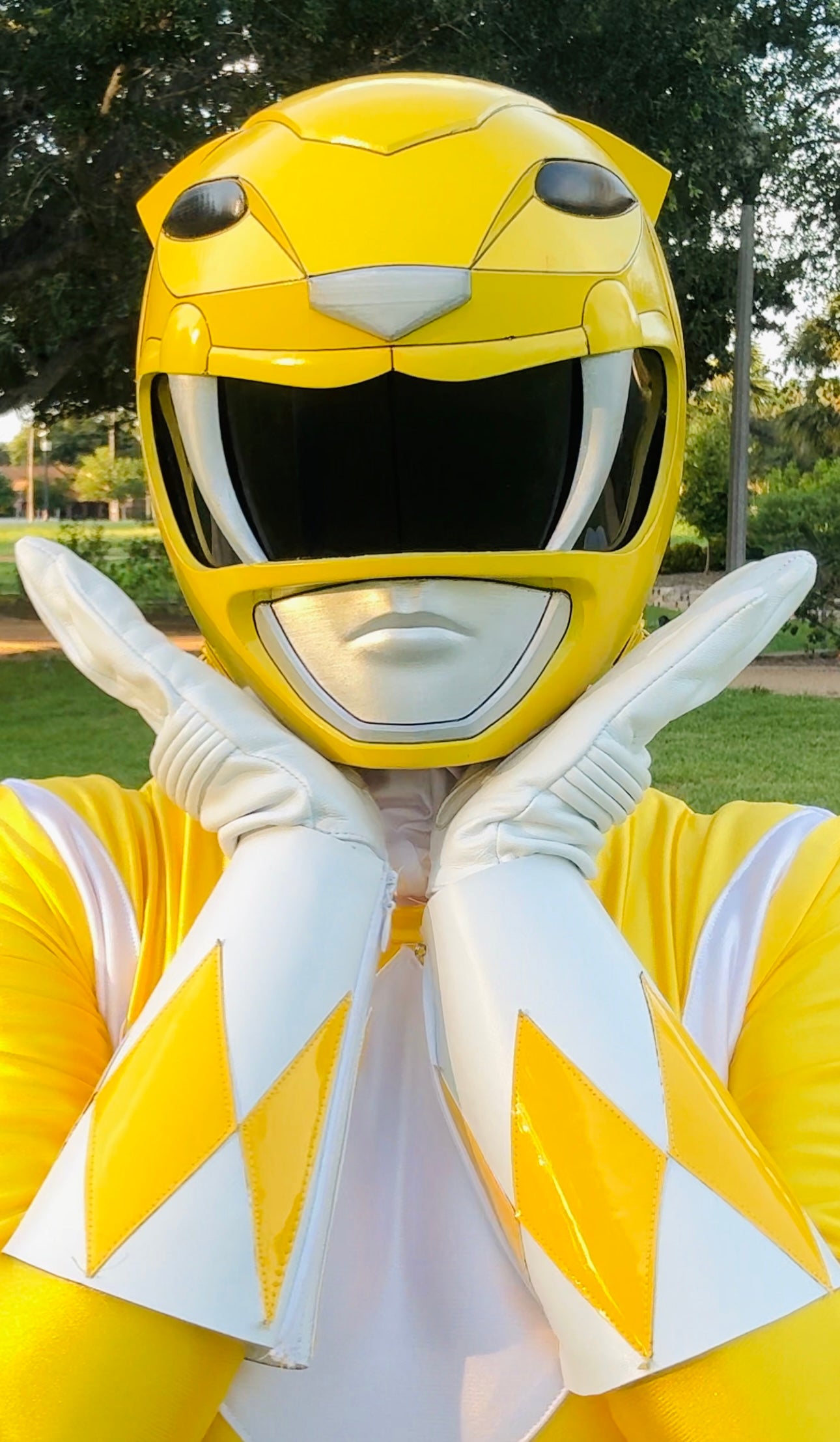 Ranger Helmets: Cosplay